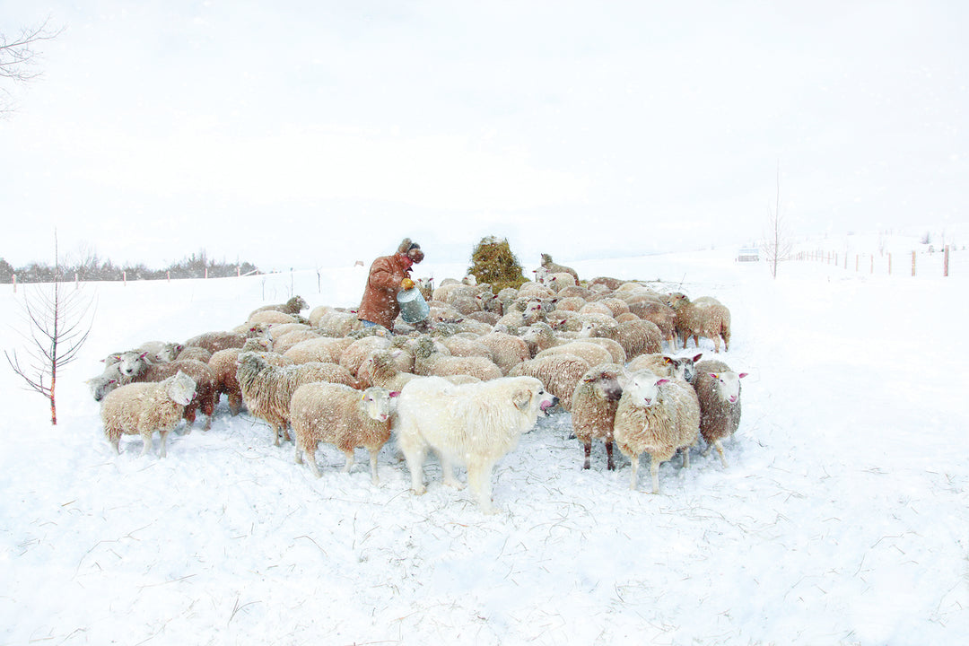 Introducing Tamarack Farms