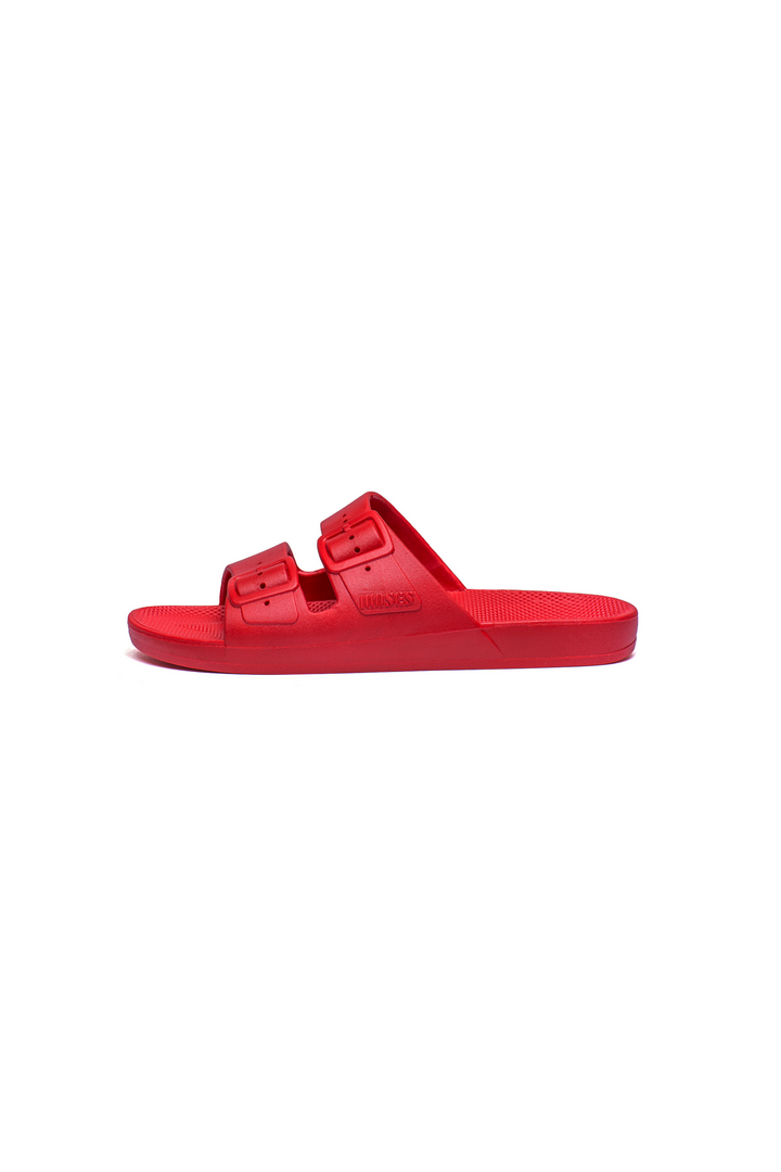 Freedom Moses Basic Slides